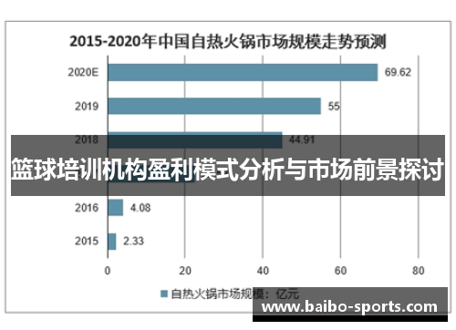 篮球培训机构盈利模式分析与市场前景探讨